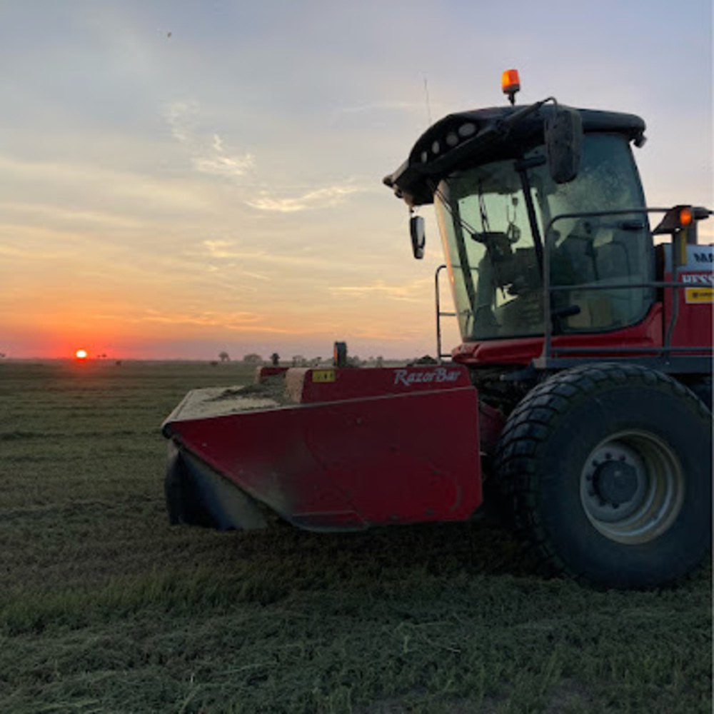 Meet your Posher, Carson